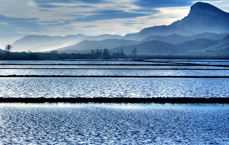 Salinas de Calblanque, Murcia 1