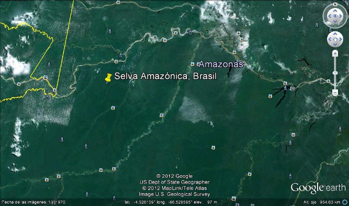 Selva Amazónica, Brasil 2