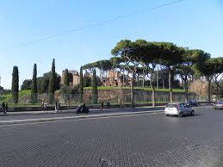 Septizodium, Via dei Cerchi, Roma, Italia 0