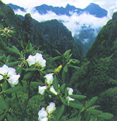 Shennongjia, Hubei, China 2