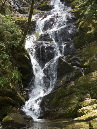 Shennongjia, Hubei, China 1