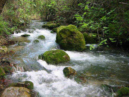 Sierra de Cádiz, Andalucia 0