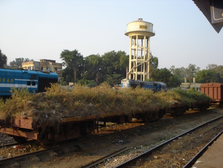 Sultanpur, Uttar Pradesh, India 🗺️ Foro Asia 1