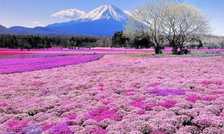 Takinoue, Hokkaidō, Japón 0