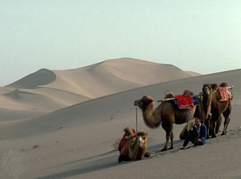 Desierto de Taklamakán, Xijiang, China 0