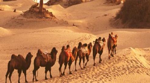 Desierto de Taklamakán, Xijiang, China 🗺️ Foro China, el Tíbet y Taiwán 2