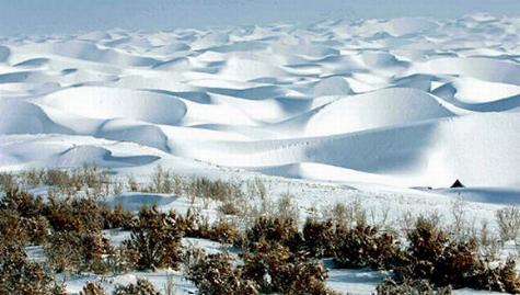 Desierto de Taklamakán, Xijiang, China 🗺️ Foro China, el Tíbet y Taiwán 1