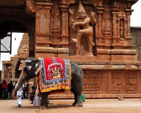 Tanjore, Tamil Nadu, India 0