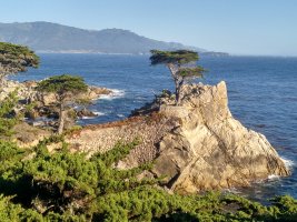 17 Mile Scenic Drive Monterey -Carmel (Highway 1) - Foro Costa Oeste de USA