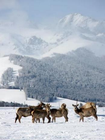 Montes Tianshan, Xinjiang, China 0