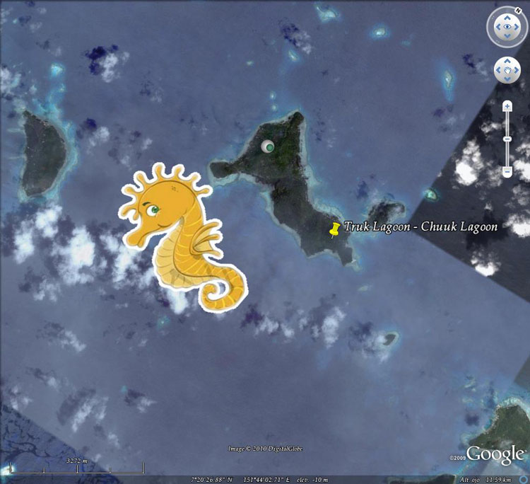 Lugares de Buceo Mundialmente famosos