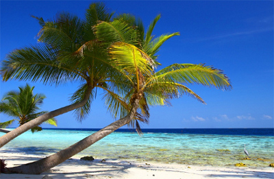 Trunk Bay, islas Virgenes, mar Caribe 1