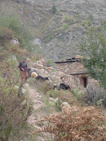 Sangla, Maharastra, India 2