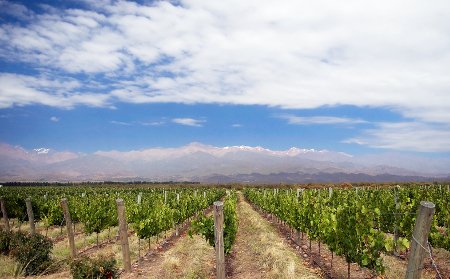 Valle de Uco, Mendoza, Argentina 0