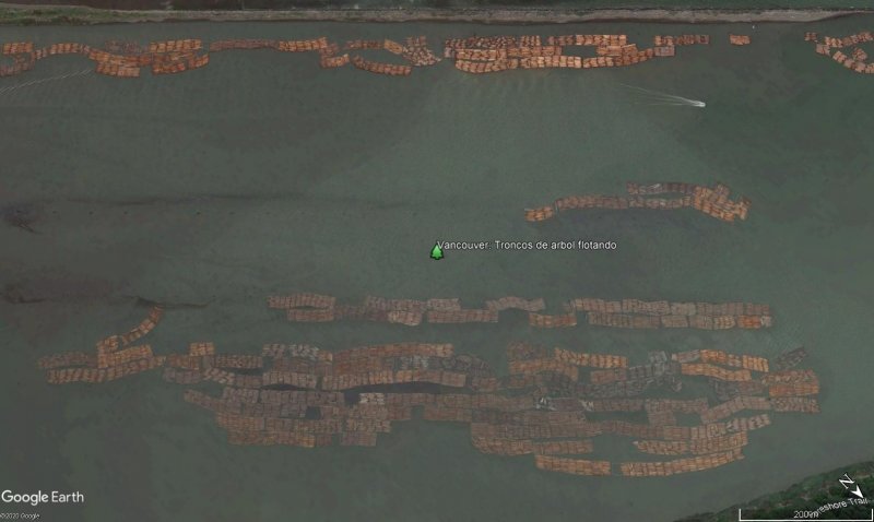 Vancouver: Troncos de arbol flotando 0 - Formas Curiosas a vista de Google Earth