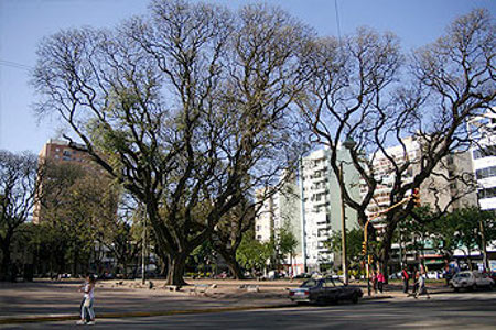 Villa Urquiza, Buenos Aires, Argentina 0