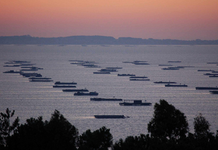 Visita a la Ria de Arousa, Pontevedra (Foto 3)