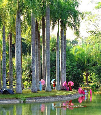 Jardin Xishuangbanna, Yunnan, China 0