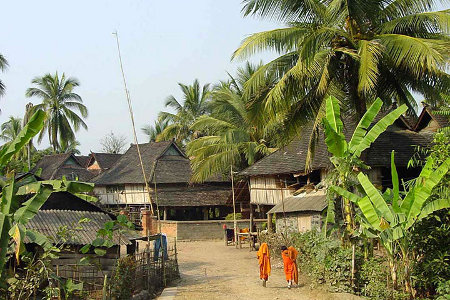 Jardin Xishuangbanna, Yunnan, China 2