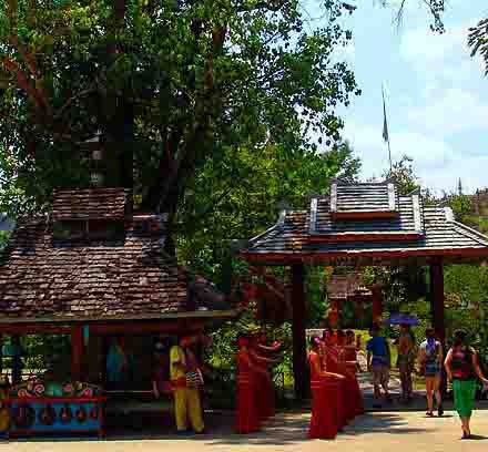 Jardin Xishuangbanna, Yunnan, China 0