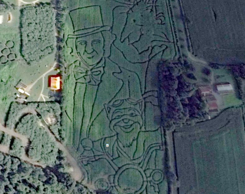 York Maze - Laberinto de York, Reino Unido 1 - Laberinto de Alicia en Disneyland - Paris 🗺️ Foro General de Google Earth