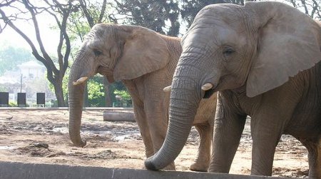 Zoo Palermo, Buenos Aires, Argentina 1