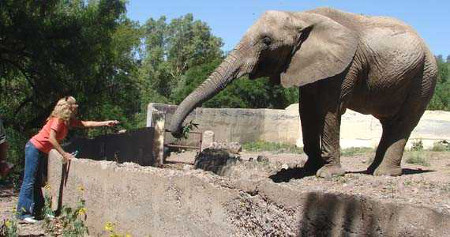 Zoologico de Mendoza, Mendoza, Argentina 0