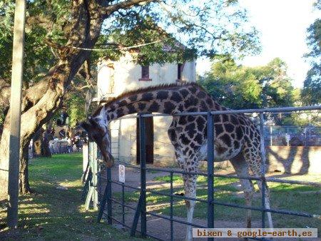 Zoologico Villa Dolores, Montevideo, Uruguay 0